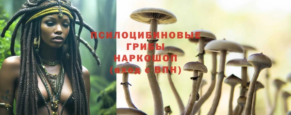 прущие грибы Наволоки