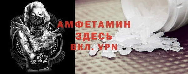 прущие грибы Наволоки