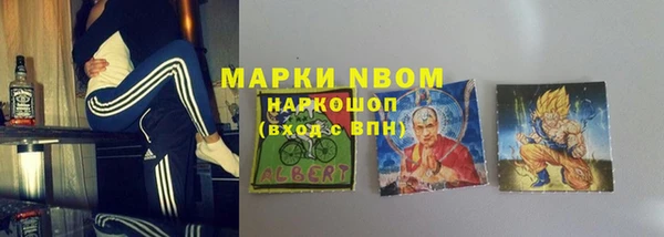 прущие грибы Наволоки
