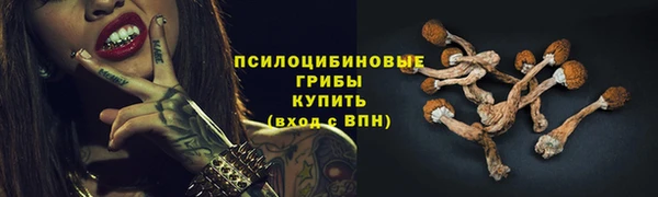 хмурый Навашино