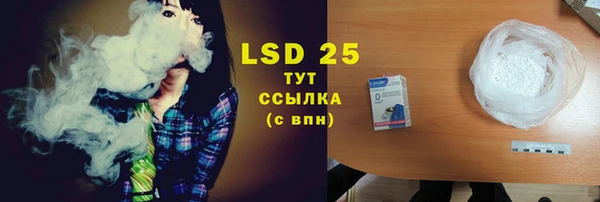 прущие грибы Наволоки
