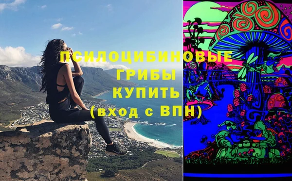 прущие грибы Наволоки