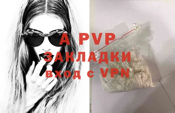 сатива Кинешма