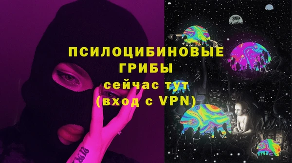 прущие грибы Наволоки