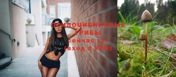 спиды Надым
