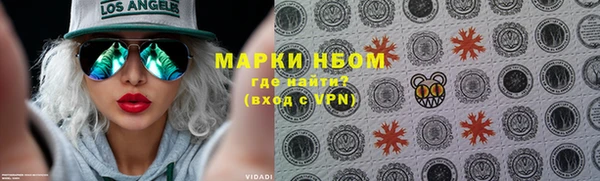 прущие грибы Наволоки