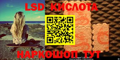 гидропоника Новозыбков
