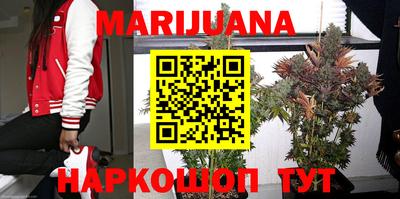 гидропоника Новозыбков