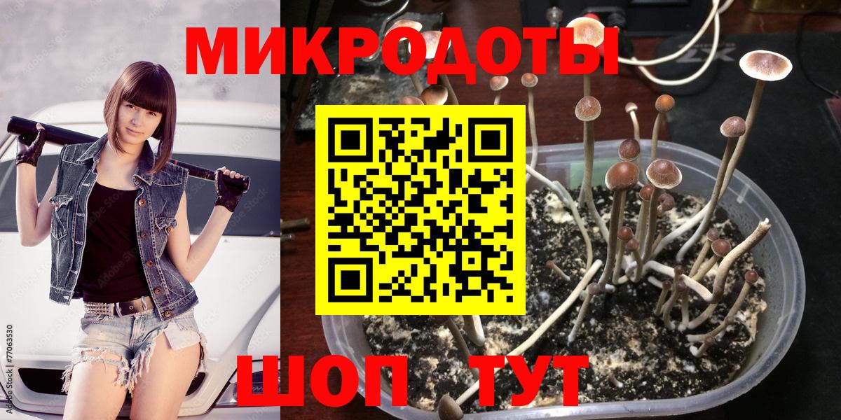 Псилоцибиновые грибы GOLDEN TEACHER Прохладный