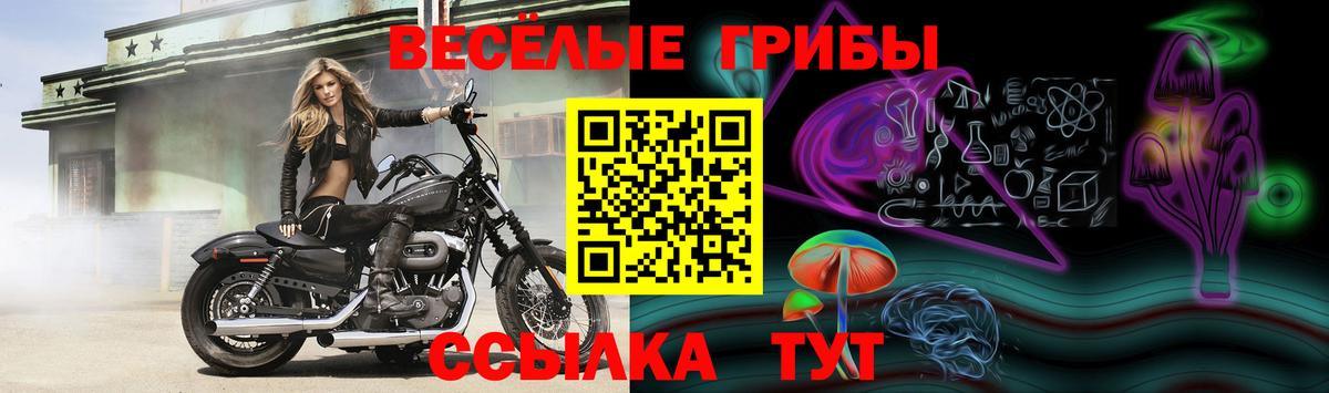 Прохладный  Псилоцибиновые грибы мухоморы  Вход с VPN  Галлюциногенные грибы мицелий 
